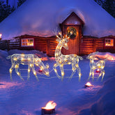 3Pc Lighted Deer Reindeer Family Lighted Deer Christmas Decor With Led