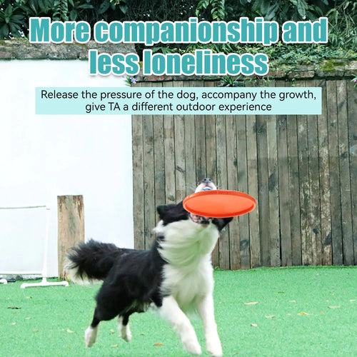 Silicone Pet Dog Flying Disk Toy Front View